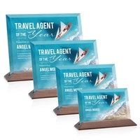 The prestigious Starfire Crystal Embassy VividPrint™ Award reflects timeless...