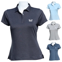 Anderson Ord Womens Solid Polo