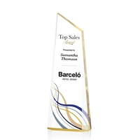 The exquisite WebsterVividPrint™ Award is a tall freestanding award with...