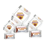 Burrill VividPrint™ Award on Paragon Base - Clear