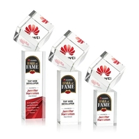 The Burrill VividPrint™ Award on Base is a perfectly polished cube... from...