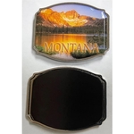 Octagon Shaped Magnets