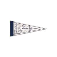 Durable, felt Color-Me pennant measuring 5" x 12" with a... from ASI 66390 LarLu