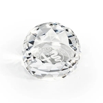 Driscoll Paperweight - Clear