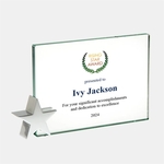 Color Imprinted Jade Achievement Award with Chrome Star