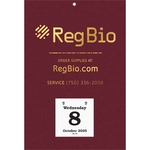 Foil Stamped Daily Date Calendar - Small Datepad