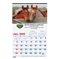 Single image wall calendar with monthly budget, zodiac, weather forecasts......