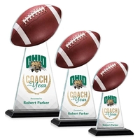 The Starfire Crystal Edenwood VividPrint™ Award stands tall as a symbol......