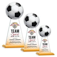 The Starfire Crystal Edenwood VividPrint™ Award stands tall as a symbol......