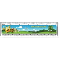 Clear Plastic Ruler Full Color Imprint