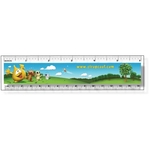 Clear Plastic Ruler Full Color Imprint