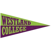 3" H x 6" W Mini Magnetic Felt Pennants... from ASI 80228 Quinn