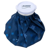 Large Ice Bag... from ASI 36730 Ariel Premium Supply Inc