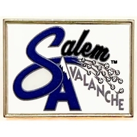 Deluxe 3D Raised Enamel Print USA... from ASI 40515 BILD Enterprises LLC