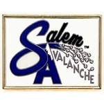 Deluxe 3D Raised Enamel Print USA