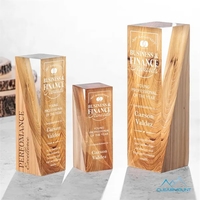 The Cascades Award is truly a work of art! The acrylic... from ASI 84592 St...