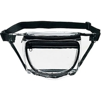 Clear Roomy Fanny Pack