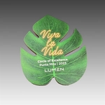 1.875" x 2" - Hardwood Magnets