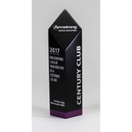 X-Large Diamond Award