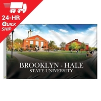 Quickship 3' x 5' Digitally Printed Outdoor Knitted Polyester Single...