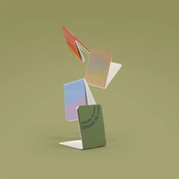 Notebooks or journals! When we trim down the covers from the... from ASI...