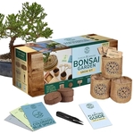 Garden Republic Bonsai Tree Starter Kit