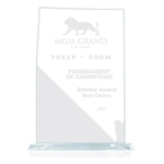 State Map Award - Nevada