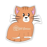 20 mil cat shaped magnet that's made in the USA and... from ASI 54040 Fey...