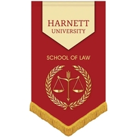 30" x 48" Premium Gonfalon V-cut with Fringe