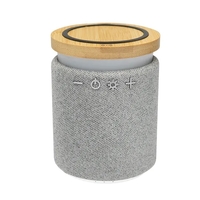 Ultra Sound Speaker & Wireless Charger 2.0