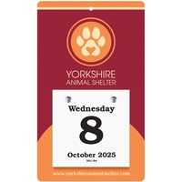 Daily Date Value Trimmed Calendar - Large