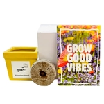 Grow Good Vibes Flower Seed Kit