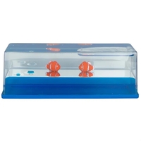 Clownfish Wave Paperweight