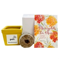 Marigold's for Mom Flower Seed Kit