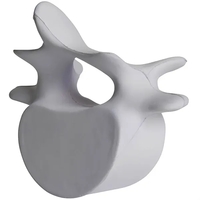 Vertebrae shaped stress reliever.... from ASI 34415 Alpi International LTD