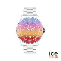 Ice Watch® Daydate Watch