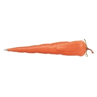 Vegetable ballpoint pen with carrot shape.... from ASI 34415 Alpi...