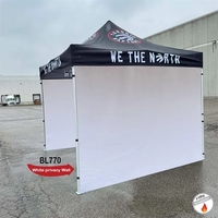 Privacy Wall for 10x10 Tent, White, Blank