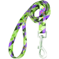 6 ft. dog leash with adjustable collar and metal carabiner.... from ASI 39552...