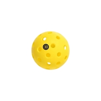 Wilder 40 Hole Pickleball Ball