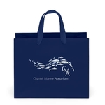 Paris Matte Eurotote - Foil Print