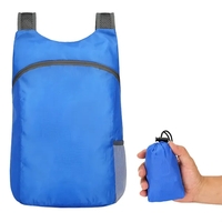 Foldable Waterproof Backpack