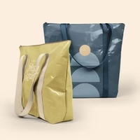 With Twinkles Even More, zip it up and tote it out.... from ASI 74710 Numo