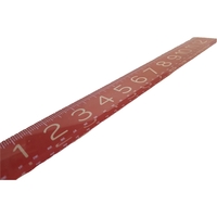 12" x 1" x 0.1875" heavy duty acrylic color printed ruler.... from ASI 92531...