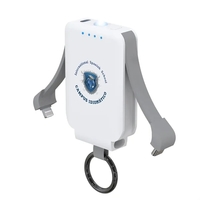 2,000 mAh portable power banks with USB-C & Lightning cables &... from ASI...