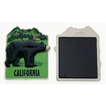 Bear in Forest Magnet