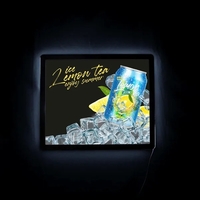 23"W x 18"H LED display with artwork printed on white poly-carbonate... from...