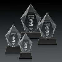 The spectacular and sparkling Devron 3D Award features a thick Optical......
