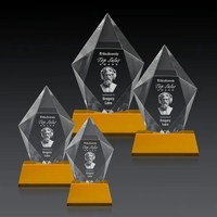 The spectacular and sparkling Devron 3D Award features a thick Optical......