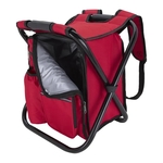 Take-n-Go Backpack Cooler Chair